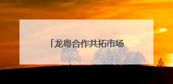 龙粤合作共拓市场，白桦树汁获黑龙江首张“湾区认证”
