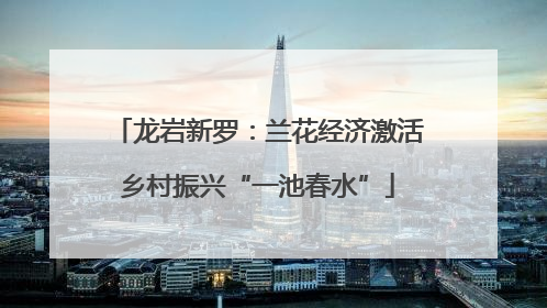 龙岩新罗：兰花经济激活乡村振兴“一池春水”