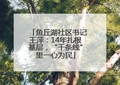 鱼丘湖社区书记王萍：14年扎根基层，“千条线”里一心为民