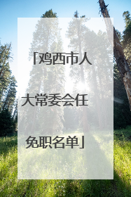 鸡西市人大常委会任免职名单