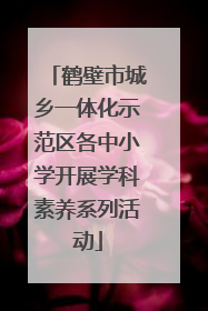 鹤壁市城乡一体化示范区各中小学开展学科素养系列活动