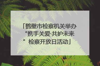 鹤壁市检察机关举办“携手关爱·共护未来”检察开放日活动
