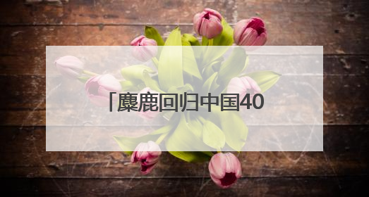 麋鹿回归中国40周年湖南主场宣传活动在岳阳启动