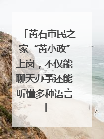 黄石市民之家“黄小政”上岗，不仅能聊天办事还能听懂多种语言