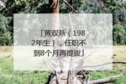 黄双燕（1982年生），任职不到8个月再提拔