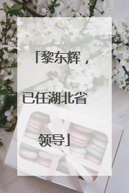 黎东辉，已任湖北省领导