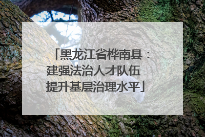 黑龙江省桦南县：建强法治人才队伍 提升基层治理水平