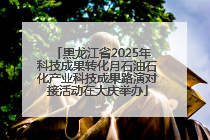 黑龙江省2025年科技成果转化月石油石化产业科技成果路演对接活动在大庆举办