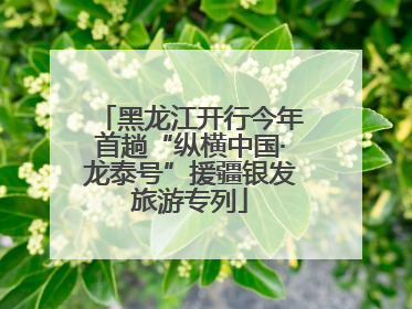 黑龙江开行今年首趟“纵横中国·龙泰号”援疆银发旅游专列