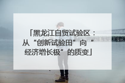 黑龙江自贸试验区：从“创新试验田”向“经济增长极”的质变