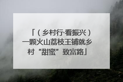 （乡村行·看振兴）一颗火山荔枝王铺就乡村“甜蜜”致富路
