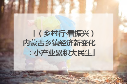 （乡村行·看振兴）内蒙古乡镇经济新变化：小产业累积大民生