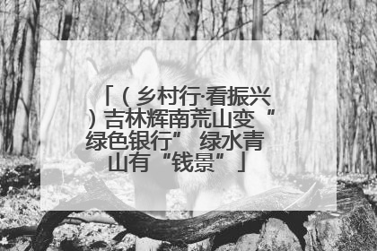 （乡村行·看振兴）吉林辉南荒山变“绿色银行” 绿水青山有“钱景”