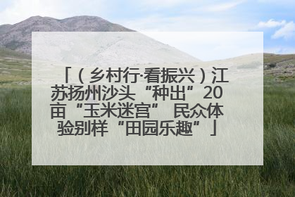 （乡村行·看振兴）江苏扬州沙头“种出”20亩“玉米迷宫” 民众体验别样“田园乐趣”