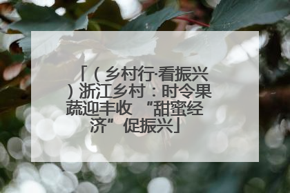 （乡村行·看振兴）浙江乡村：时令果蔬迎丰收 “甜蜜经济”促振兴