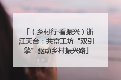 （乡村行·看振兴）浙江天台：共富工坊“双引擎”驱动乡村振兴路