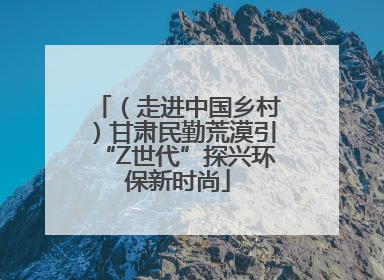 （走进中国乡村）甘肃民勤荒漠引“Z世代”探兴环保新时尚