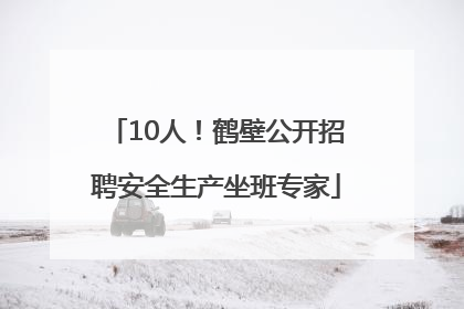 10人！鹤壁公开招聘安全生产坐班专家