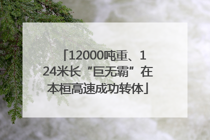 12000吨重、124米长“巨无霸”在本桓高速成功转体