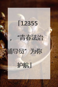 12355，“青春法治辅导员”为你护航