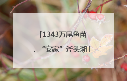 1343万尾鱼苗，“安家”斧头湖