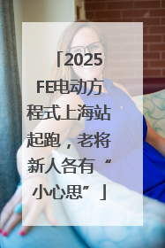 2025FE电动方程式上海站起跑，老将新人各有“小心思”