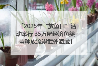 2025年“放鱼日”活动举行 35万尾经济鱼类苗种放流崇武外海域