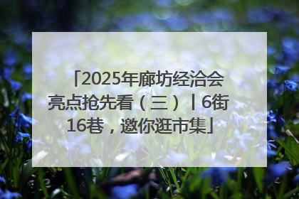 2025年廊坊经洽会亮点抢先看（三）丨6街16巷，邀你逛市集