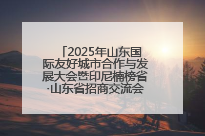 2025年山东国际友好城市合作与发展大会暨印尼楠榜省·山东省招商交流会在济南槐荫举行