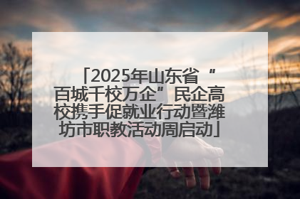 2025年山东省“百城千校万企”民企高校携手促就业行动暨潍坊市职教活动周启动