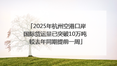 2025年杭州空港口岸国际货运量已突破10万吨 较去年同期提前一周