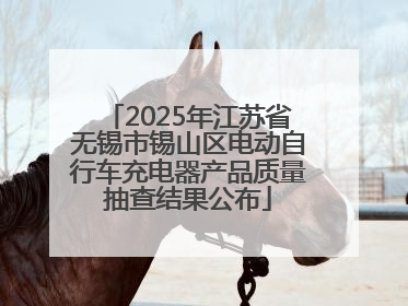 2025年江苏省无锡市锡山区电动自行车充电器产品质量抽查结果公布