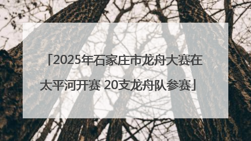 2025年石家庄市龙舟大赛在太平河开赛 20支龙舟队参赛