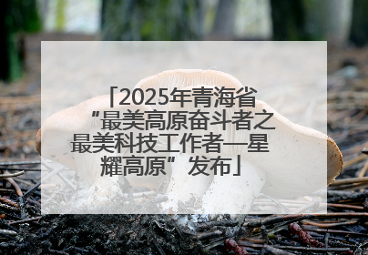 2025年青海省“最美高原奋斗者之最美科技工作者—星耀高原”发布