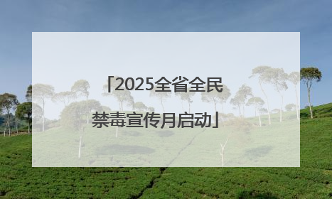 2025全省全民禁毒宣传月启动