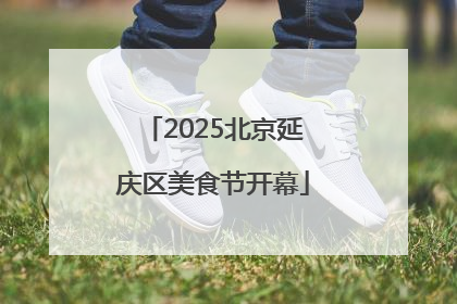 2025北京延庆区美食节开幕