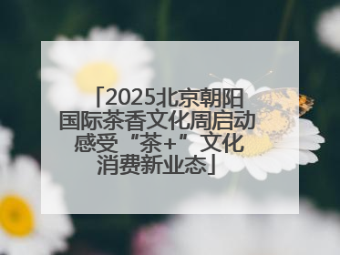 2025北京朝阳国际茶香文化周启动 感受“茶+”文化消费新业态