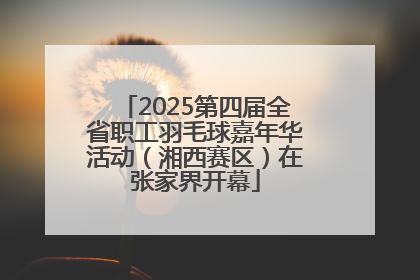2025第四届全省职工羽毛球嘉年华活动（湘西赛区）在张家界开幕
