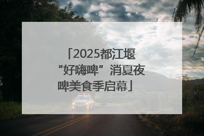 2025都江堰“好嗨啤”消夏夜啤美食季启幕