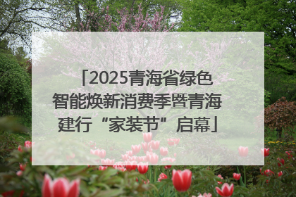 2025青海省绿色智能焕新消费季暨青海建行“家装节”启幕