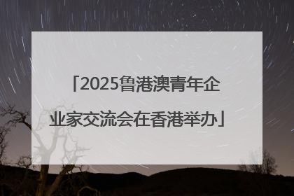 2025鲁港澳青年企业家交流会在香港举办