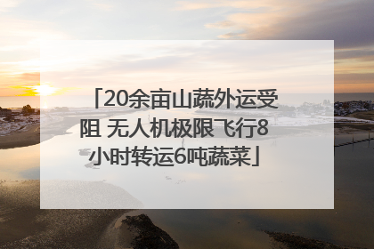 20余亩山蔬外运受阻 无人机极限飞行8小时转运6吨蔬菜