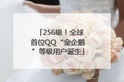 256级！全球首位QQ“金企鹅”等级用户诞生