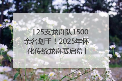 25支龙舟队1500余名划手！2025年怀化传统龙舟赛启幕