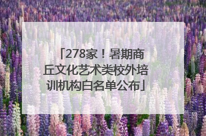 278家！暑期商丘文化艺术类校外培训机构白名单公布