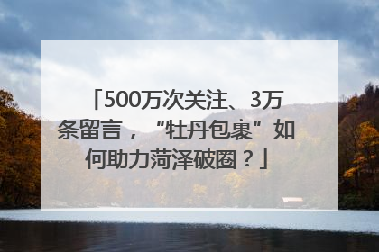 500万次关注、3万条留言，“牡丹包裹”如何助力菏泽破圈？
