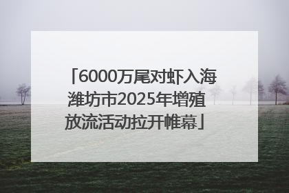 6000万尾对虾入海 潍坊市2025年增殖放流活动拉开帷幕