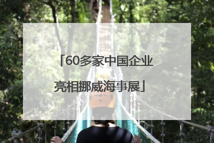 60多家中国企业亮相挪威海事展