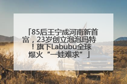 85后王宁成河南新首富，23岁创立泡泡玛特！旗下Labubu全球爆火“一娃难求”
