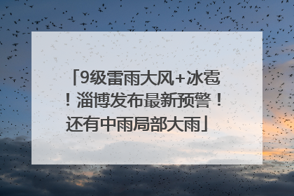 9级雷雨大风+冰雹！淄博发布最新预警！还有中雨局部大雨